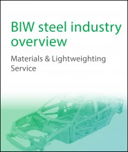 BIW steel industry overview